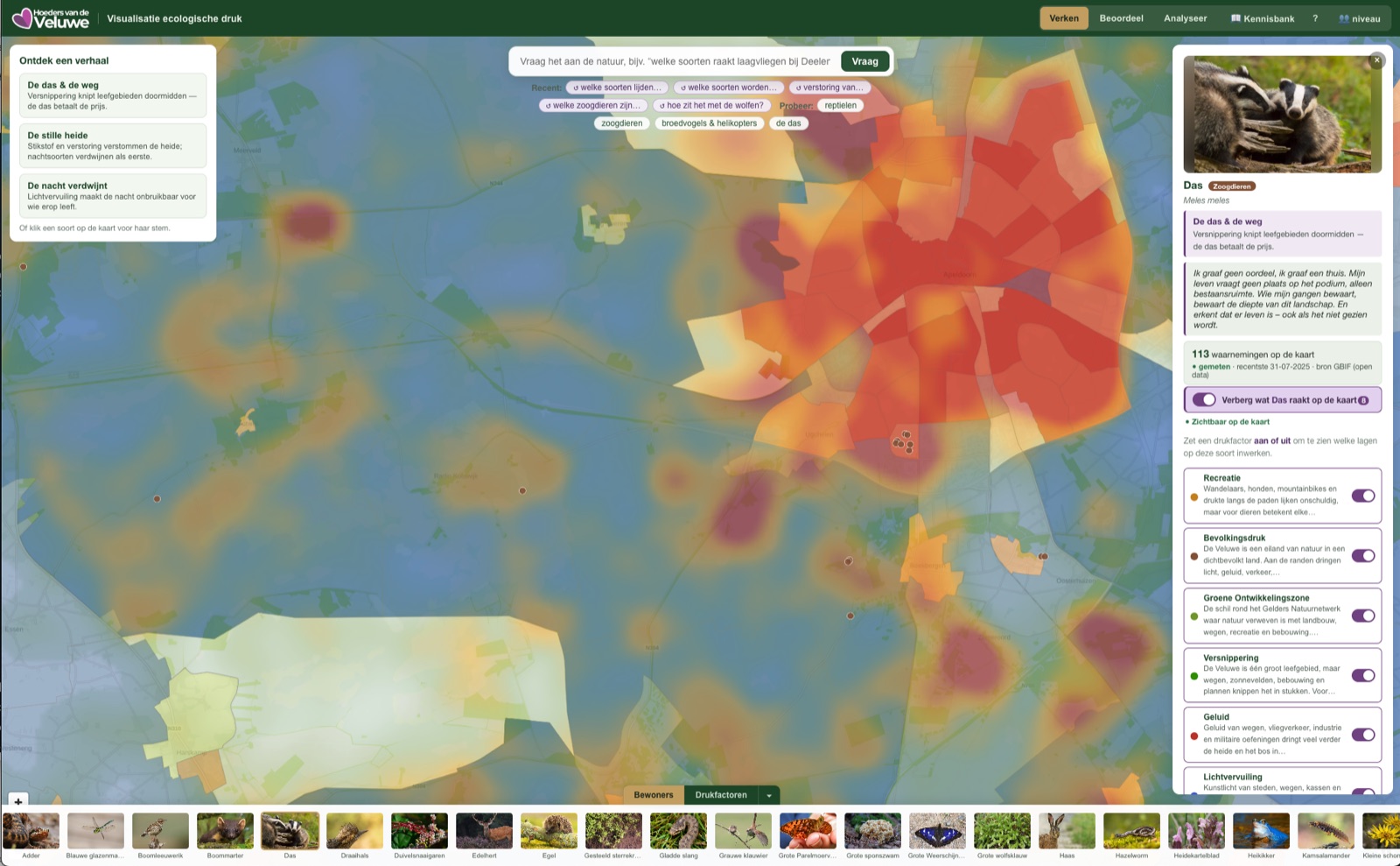 Het dashboard toont de Veluwe met een drukheatmap en de das die in de ik-vorm vertelt wat haar leefgebied bedreigt.